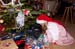 20101224_193056b