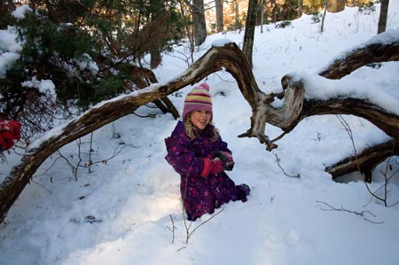 20110107_124547b