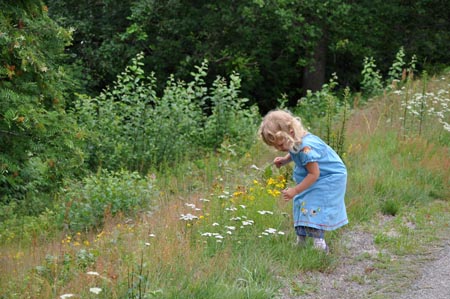 20110713_122229b