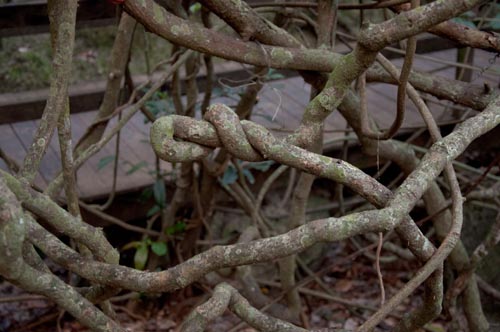 20120518_081138b