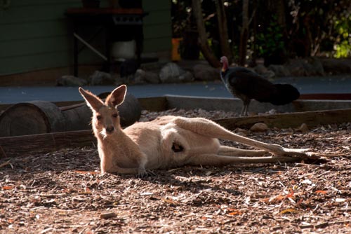 20120519_001523b