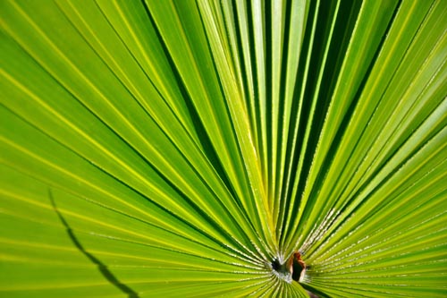 20120522_015210b