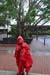 20120523_062043b
