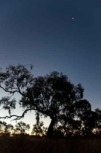 20120527_100358b