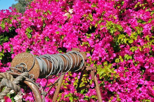 20120528_045228b