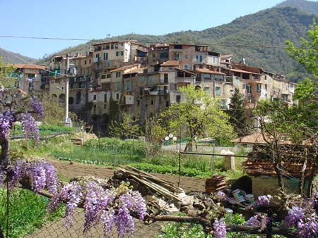 DSC01601