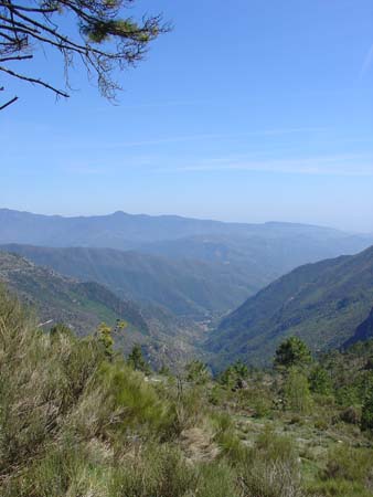 DSC01621