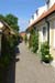 DSC01859-1949