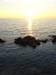DSC019a60