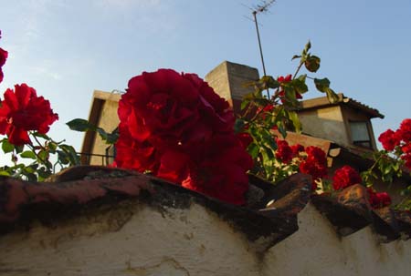 DSC05302b