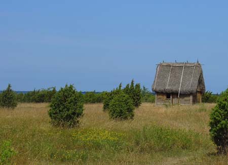 DSC05323b