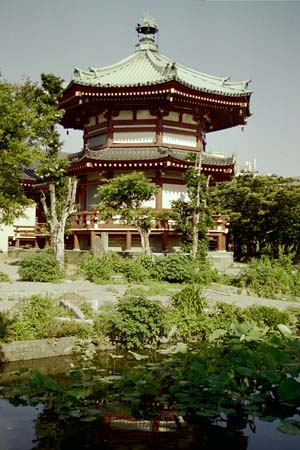j56