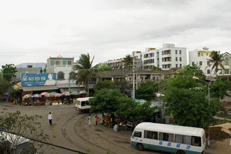 ck-DSC01419b