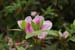 an-DSC00548