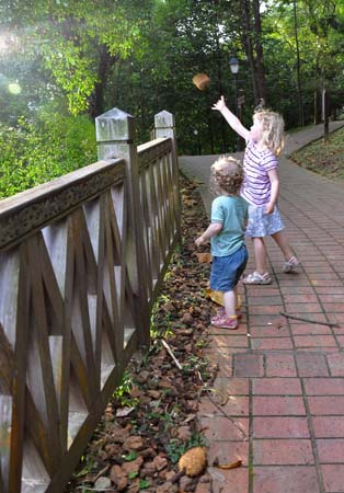 20100621_12_26_39b
