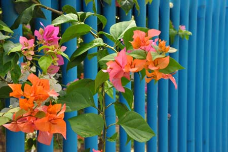 20100627_11_13_51b