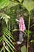 20100623_11_50_48b