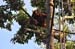 20100626_03_51_34b