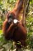 20100626_04_00_14-nefb