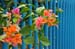 20100627_11_13_51b