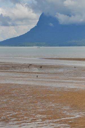 20100628_10_59_16b
