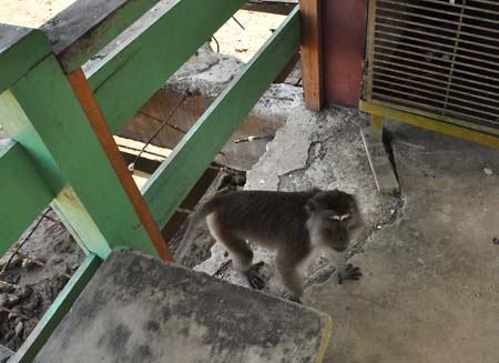 20100628_11_01_54b