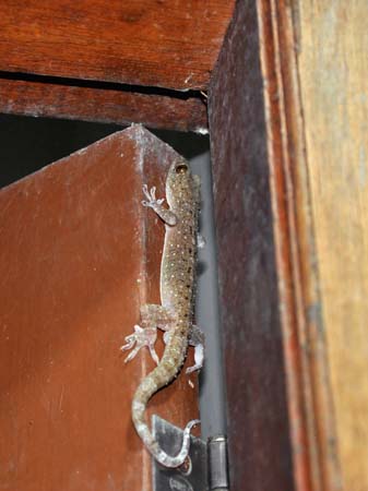 20100628_21_26_25b