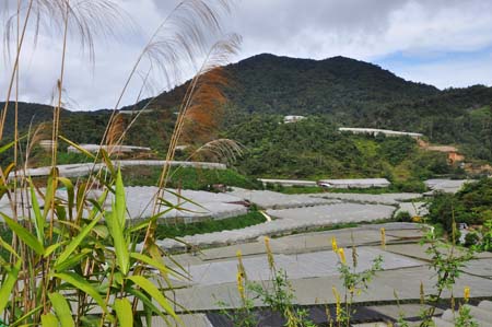 20100705_15_32_03b