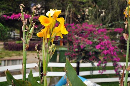 20100705_18_44_00b