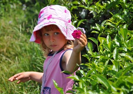 20100706_12_28_40b