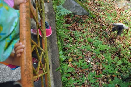 20100706_15_33_33b