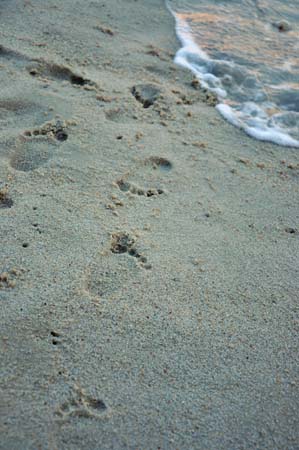 20100710_18_36_52b