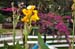 20100705_18_44_00b
