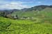 20100706_12_16_35b
