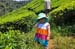 20100706_12_26_58b