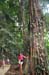 20100706_15_48_42b