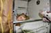 20100709_23_00_51b