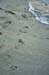20100710_18_36_52b