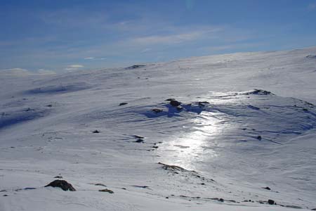 DSC01459
