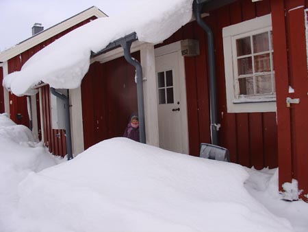 DSC06389