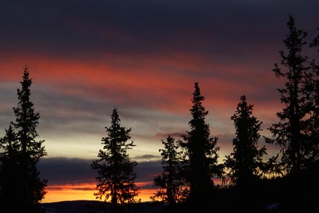 DSC03689b