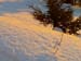Bild061b