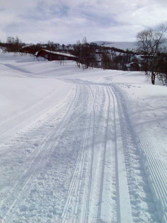15b