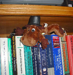 DrMoose