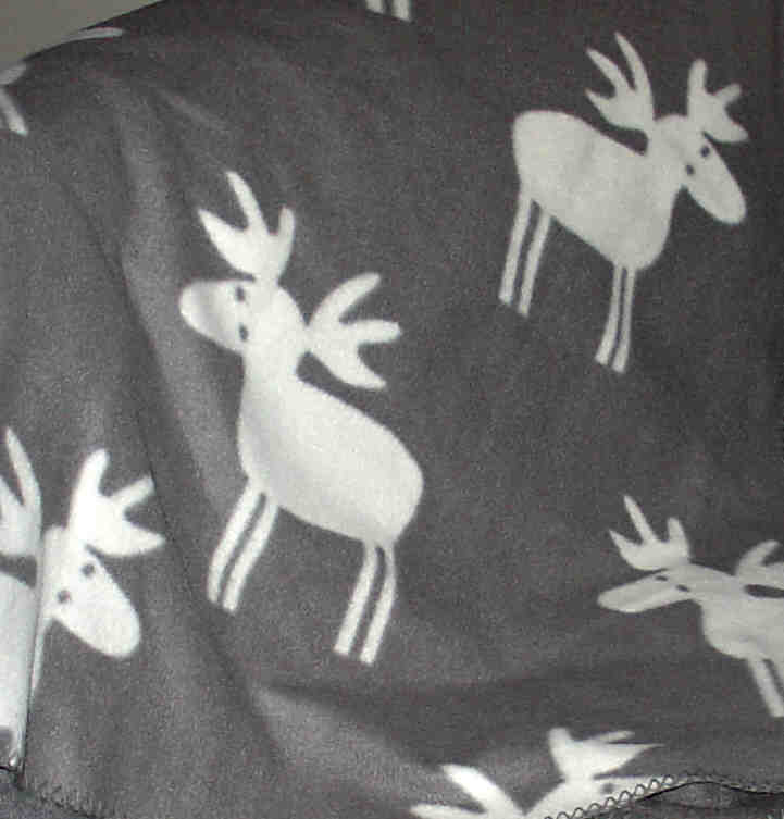 blanketmoose