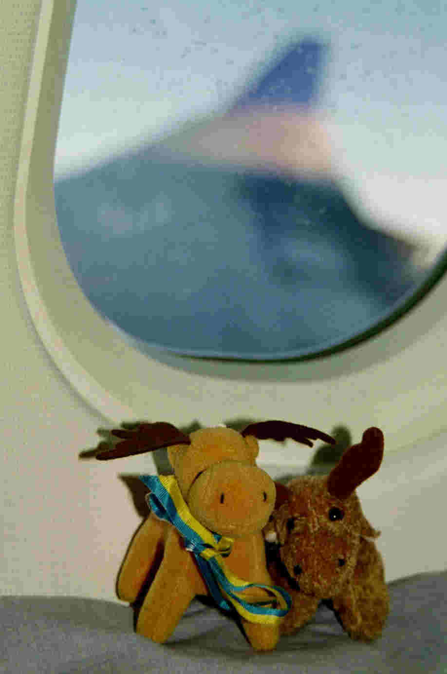 flymoose
