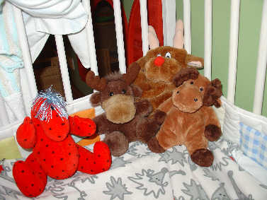 groupmoose