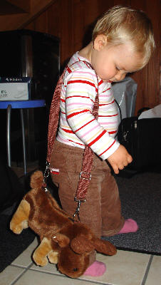 pursemoose